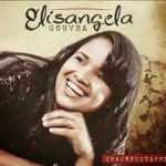 Elisangela Gouvea - Inacreditável 2013