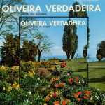 Trio Alexandre - Oliveira Verdadeira 1979
